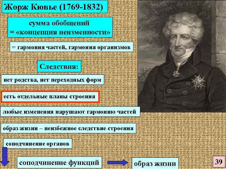 Теория ж кювье. Кювье теория эволюции. Ж Кювье теория эволюции.