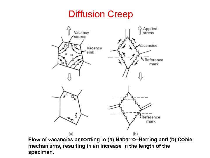 Diffusion Creep Flow of vacancies according to (a) Nabarro–Herring and (b) Coble mechanisms, resulting