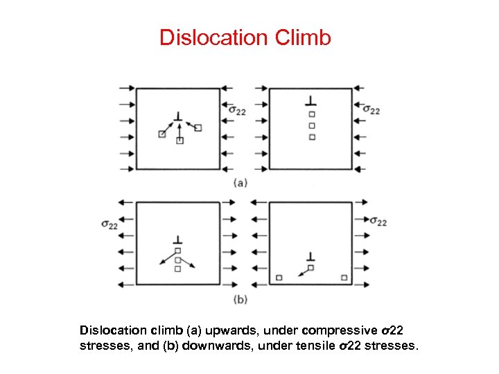 Dislocation Climb Dislocation climb (a) upwards, under compressive σ22 stresses, and (b) downwards, under