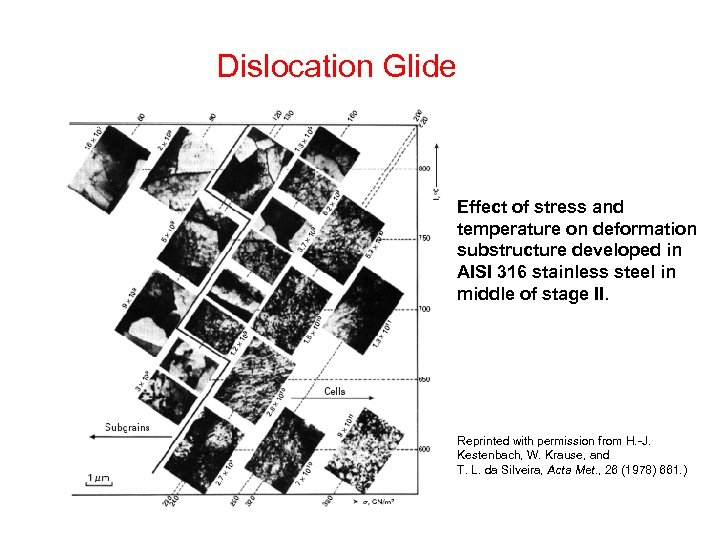 Dislocation Glide Effect of stress and temperature on deformation substructure developed in AISI 316