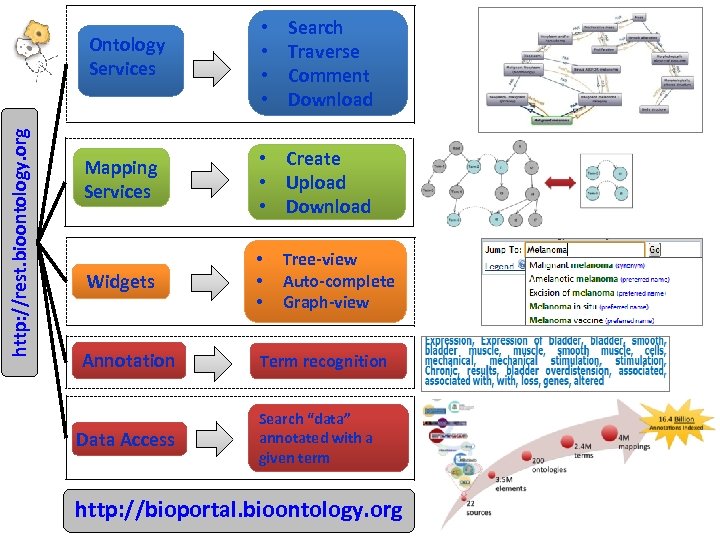Search Traverse Comment Download http: //rest. bioontology. org Ontology Services • • Mapping Services