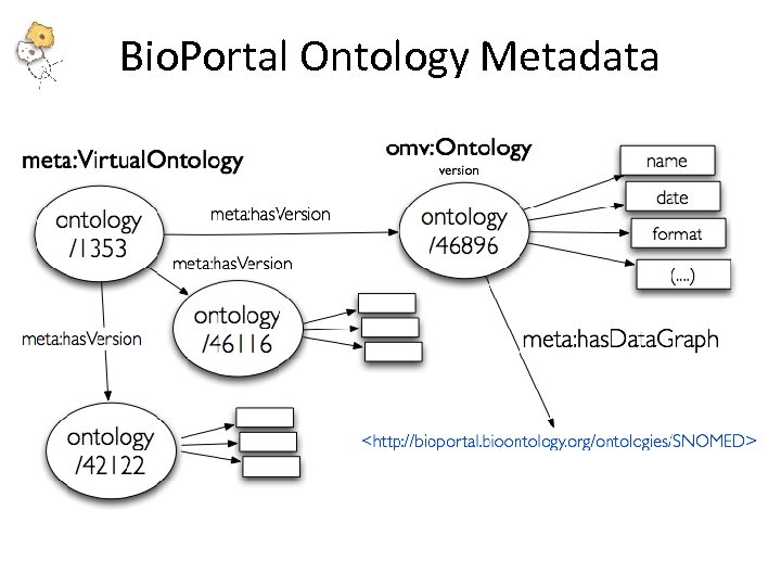 Bio. Portal Ontology Metadata 