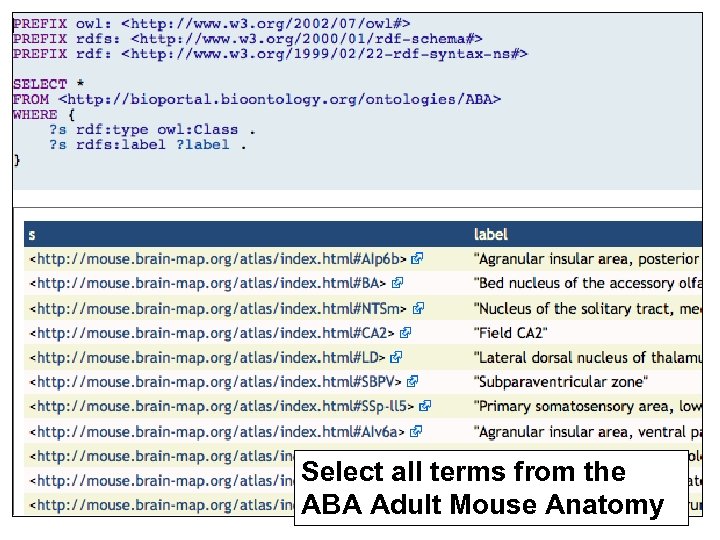 Select all terms from the ABA Adult Mouse Anatomy 