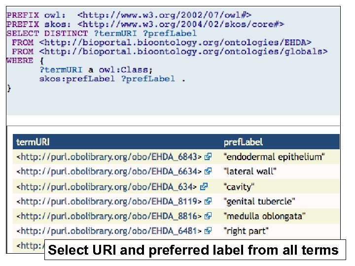 Select URI and preferred label from all terms 