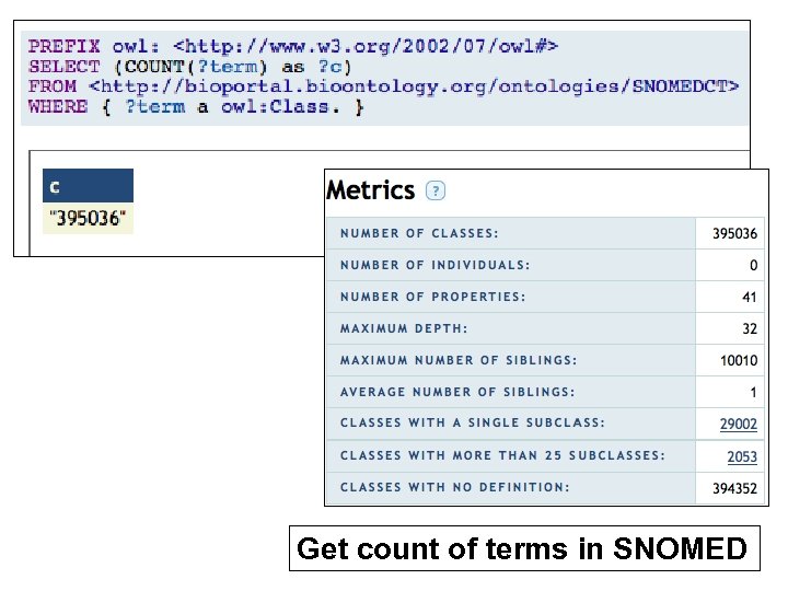 Get count of terms in SNOMED 