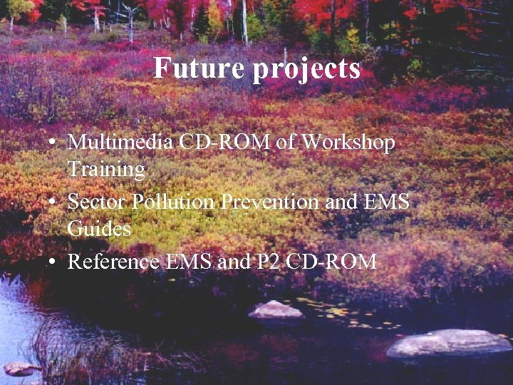 Future projects • Multimedia CD-ROM of Workshop Training • Sector Pollution Prevention and EMS