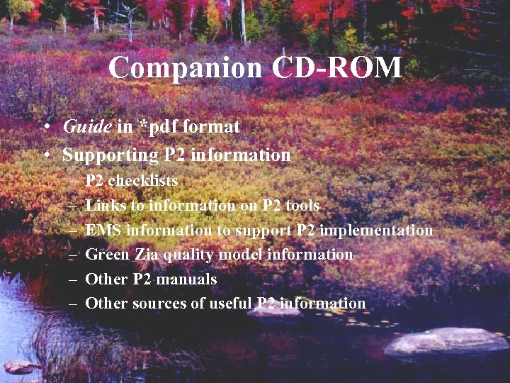 Companion CD-ROM • Guide in *pdf format • Supporting P 2 information – –