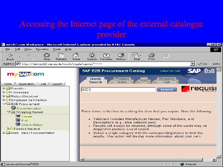Accessing the Internet page of the external catalogue provider 