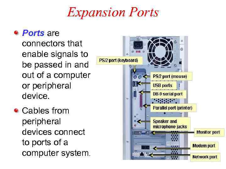Expansion Ports are connectors that enable signals to be passed in and out of