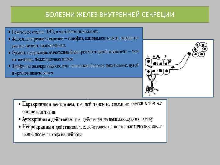 БОЛЕЗНИ ЖЕЛЕЗ ВНУТРЕННЕЙ СЕКРЕЦИИ 