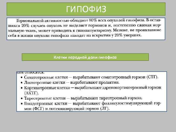 ГИПОФИЗ Клетки передней доли гипофиза 