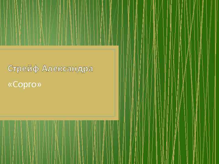 Стрейф Александра «Сорго» 