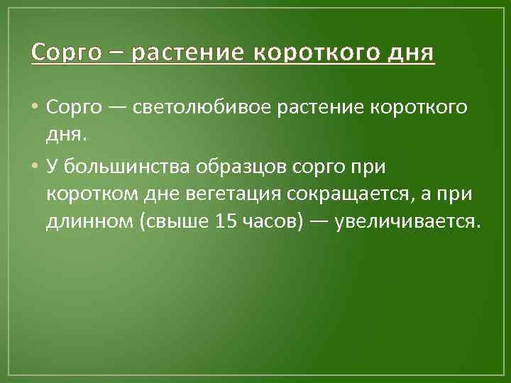 Сорго – растение короткого дня • Сорго — светолюбивое растение короткого дня. • У