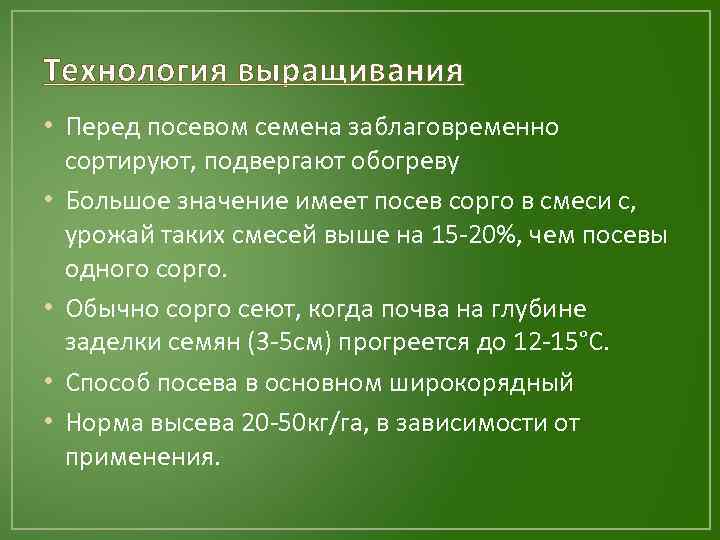 Технология выращивания • Перед посевом семена заблаговременно сортируют, подвергают обогреву • Большое значение имеет