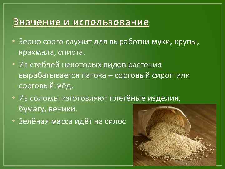 Значение и использование • Зерно сорго служит для выработки муки, крупы, крахмала, спирта. •