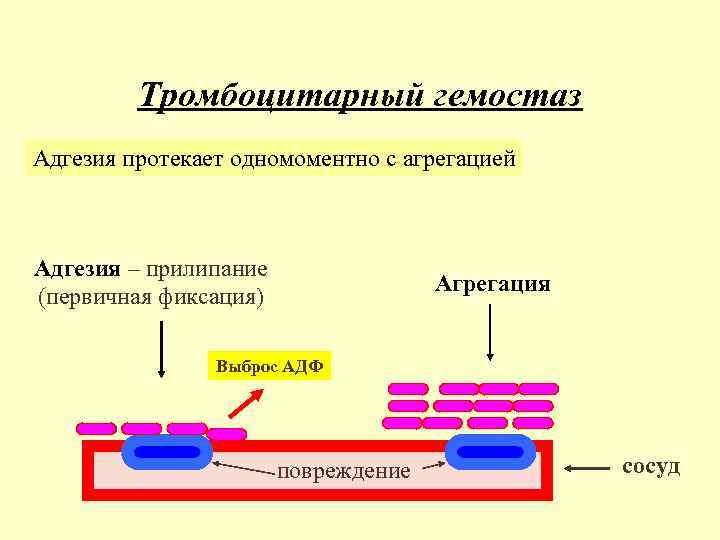 Схема агрегации тромбоцитов