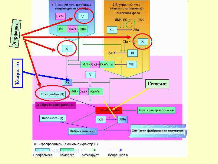 Ксарелто Гепарин Варфарин 