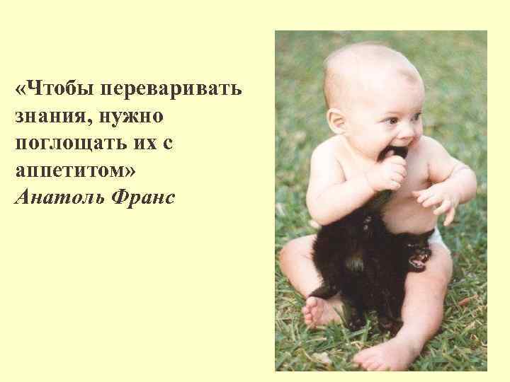  «Чтобы переваривать знания, нужно поглощать их с аппетитом» Анатоль Франс 