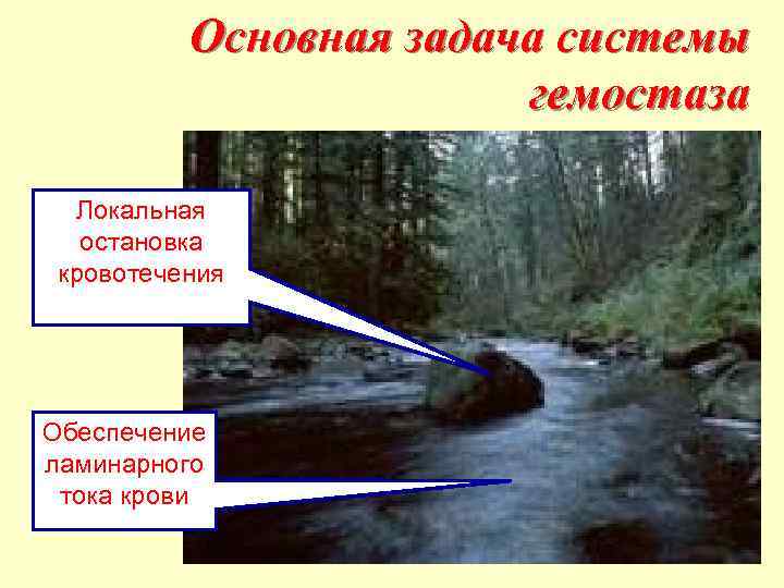 Основная задача системы гемостаза Локальная остановка кровотечения Обеспечение ламинарного тока крови 