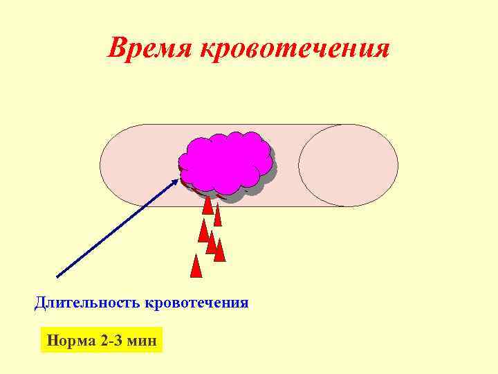 Время кровотечения