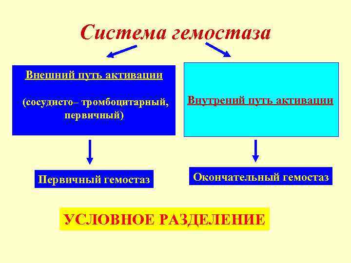 Система гемостаза Внешний путь активации (сосудисто– тромбоцитарный, первичный) Внутрений путь активации Первичный гемостаз Окончательный