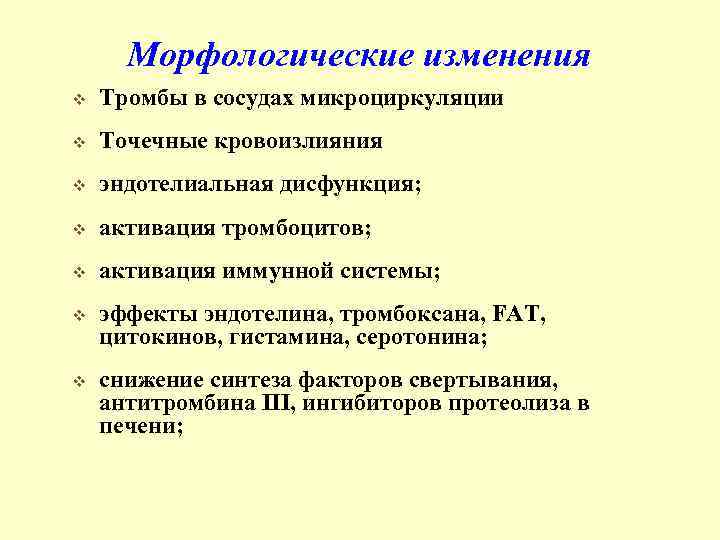 Морфологические изменения v Тромбы в сосудах микроциркуляции v Точечные кровоизлияния v эндотелиальная дисфункция; v