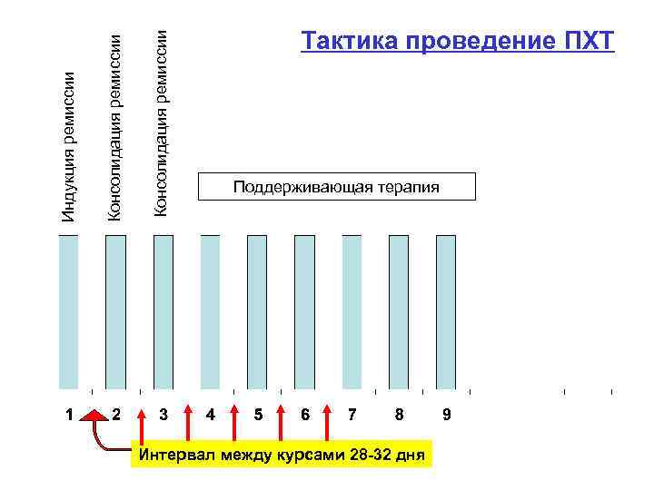 Консолидация ремиссии Индукция ремиссии Тактика проведение ПХТ Поддерживающая терапия Интервал между курсами 28 -32