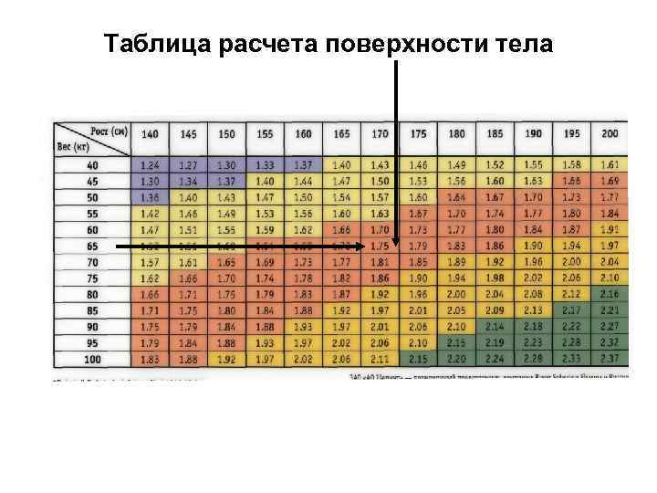 Таблица расчета поверхности тела 