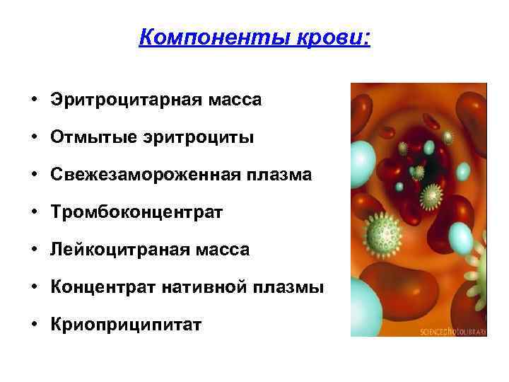 Компоненты крови: • Эритроцитарная масса • Отмытые эритроциты • Свежезамороженная плазма • Тромбоконцентрат •