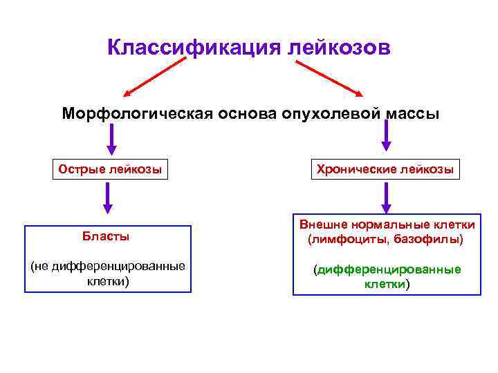 Типы острых лейкозов. Классификация лейкозов схема. Хронические миелопролиферативные лейкозы классификация. Клинико морфологическая классификация лейкозов. Классификация острых и хронических лейкозов.