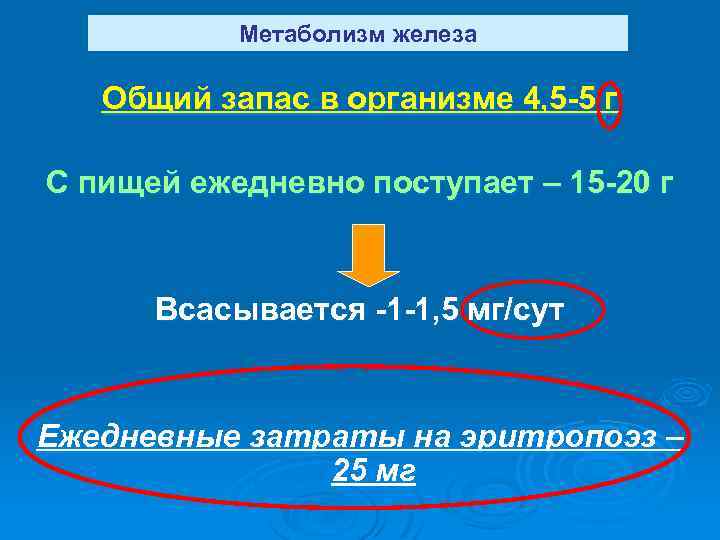 Метаболизм железа Общий запас в организме 4, 5 -5 г С пищей ежедневно поступает