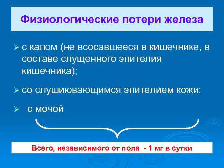 Физиологические потери железа Ø с калом (не всосавшееся в кишечнике, в составе слущенного эпителия