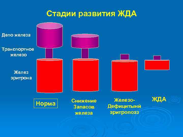 Схема патогенеза железодефицитной анемии