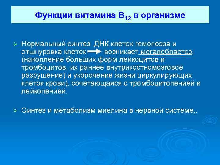 Функции витамина В 12 в организме Ø Нормальный синтез ДНК клеток гемопоэза и отшнуровка