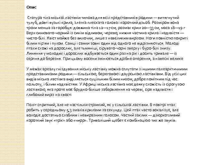 Опис Статура тіла міської ластівки типова для всіх представників родини — витягнутий тулуб, довгі