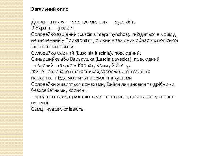 Загальний опис Довжина птаха — 144 -170 мм, вага — 13, 4 -26 г.