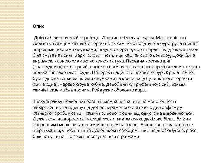 Опис Дрібний, витончений горобець. Довжина тіла 12, 5 - 14 см. Має зовнішню схожість