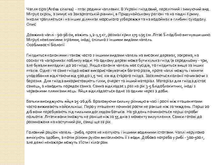 Чапля сіра (Ardea cinerea) - птах родини чаплевих. В Україні гніздовий, перелітний і зимуючий