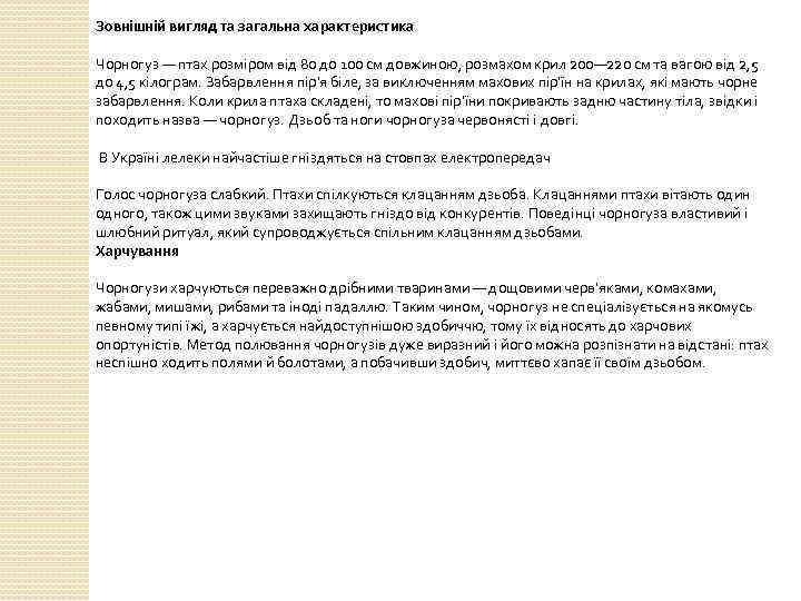 Зовнішній вигляд та загальна характеристика Чорногуз — птах розміром від 80 до 100 см