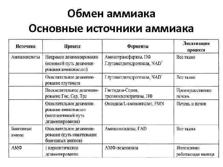 Обмен аммиака Основные источники аммиака 
