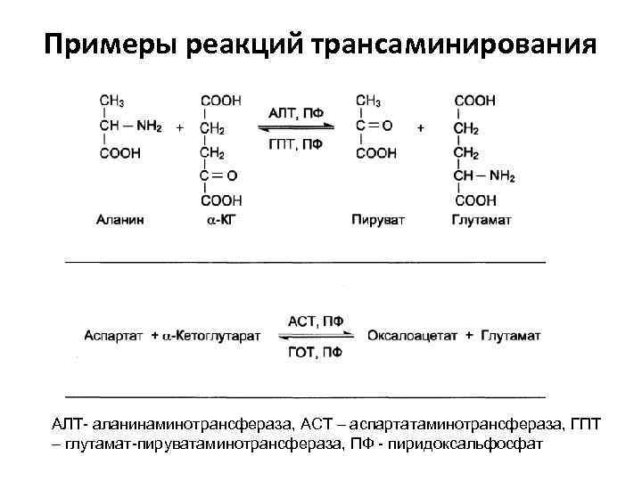 Примеры реакций трансаминирования АЛТ- аланинаминотрансфераза, АСТ – аспартатаминотрансфераза, ГПТ – глутамат-пируватаминотрансфераза, ПФ - пиридоксальфосфат
