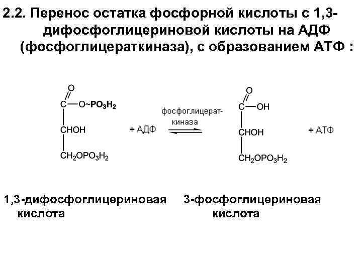 2. 2. Перенос остатка фосфорной кислоты с 1, 3 дифосфоглицериновой кислоты на АДФ (фосфоглицераткиназа),