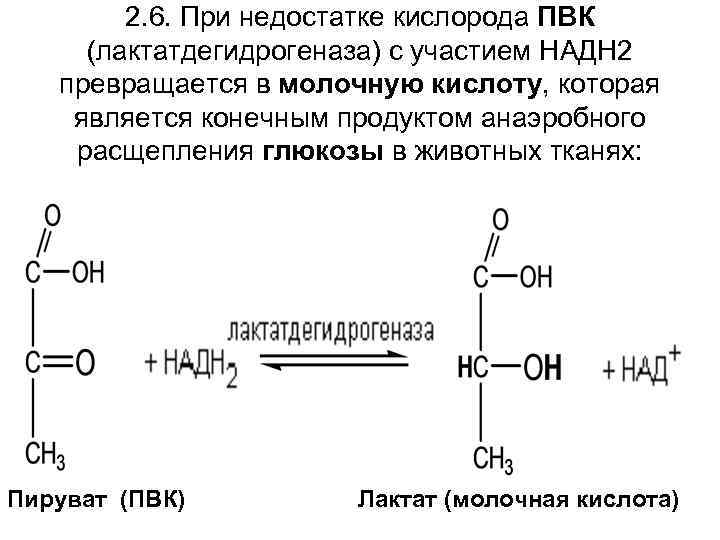 2. 6. При недостатке кислорода ПВК (лактатдегидрогеназа) с участием НАДН 2 превращается в молочную