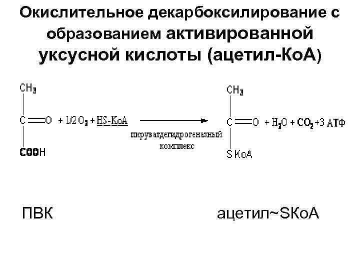 Окислительное декарбоксилирование с образованием активированной уксусной кислоты (ацетил-Ко. А) ПВК ацетил~SКо. А 