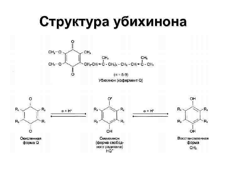 Структура убихинона 