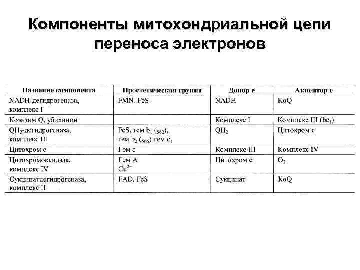 Компоненты митохондриальной цепи переноса электронов 