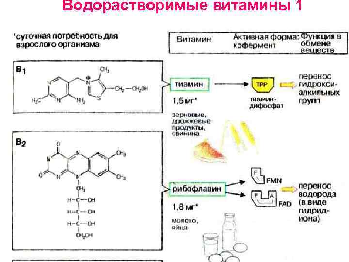 Водорастворимые витамины 1 