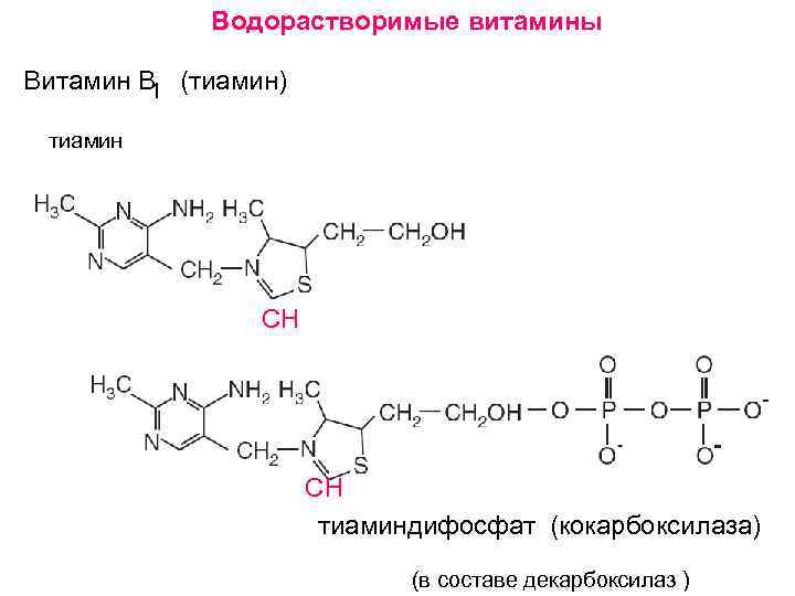 Кокарбоксилаза что это