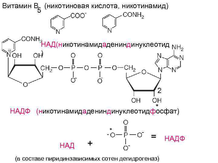 Схема применения никотиновой кислоты