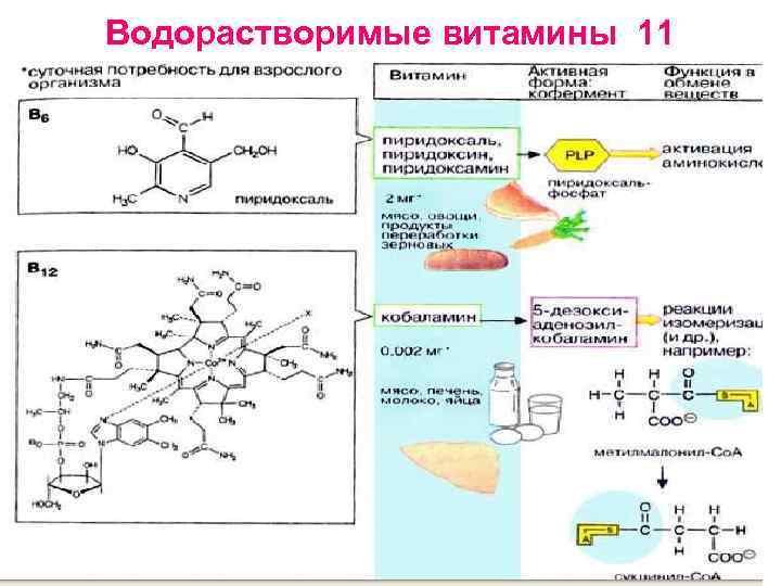 Водорастворимые витамины 11 